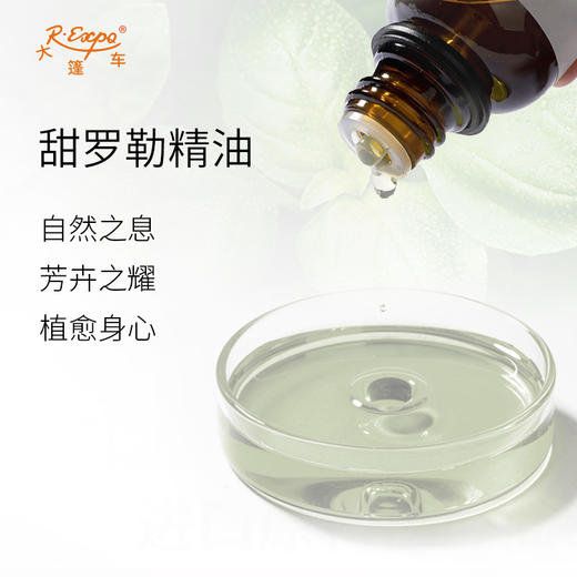 甜罗勒精油/沉香醇罗勒 奥地利精油原料批发 芳疗护理调香香薰 商品图1