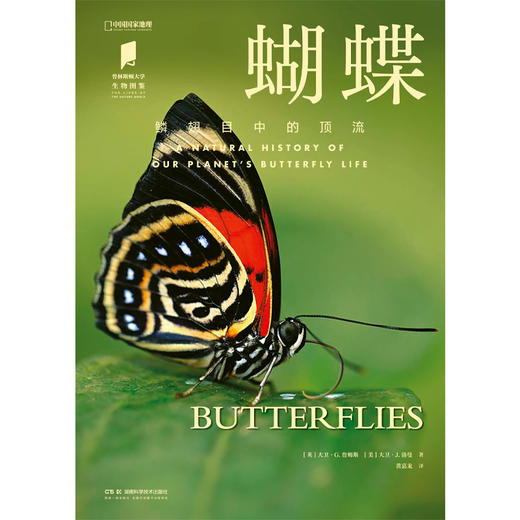 蝴蝶 | 一本世界各地蝴蝶生活图鉴，全方位展现了蝴蝶的绚丽多姿与演化智慧 商品图1