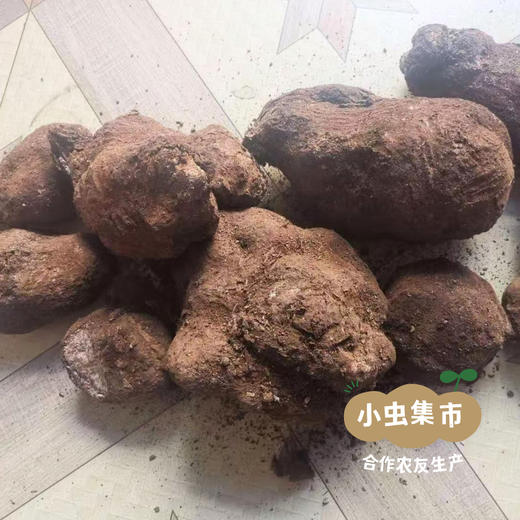 深山云茯苓 250g/罐 (非种植）| 合作农友生产，产自云南永仁，生产者：康丽 ＆【公平贸易农人定价】 商品图6