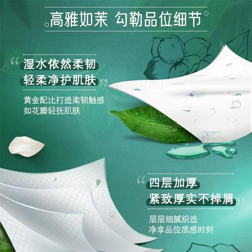 『得宝Tempo』手帕纸4层36小包 便携式手帕纸（茉莉花味）（新旧包装随机发货） 商品图2
