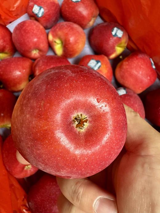 ＃新西兰Dazzle伯爵苹果＃拥有爱妃的灵魂，却只需付出一半的价格。非常好吃的存在，从皮到核脆甜多汁。 商品图1