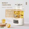 艾青春 3升大容量养生壶  AI-YSH888（带滤网） 商品缩略图5