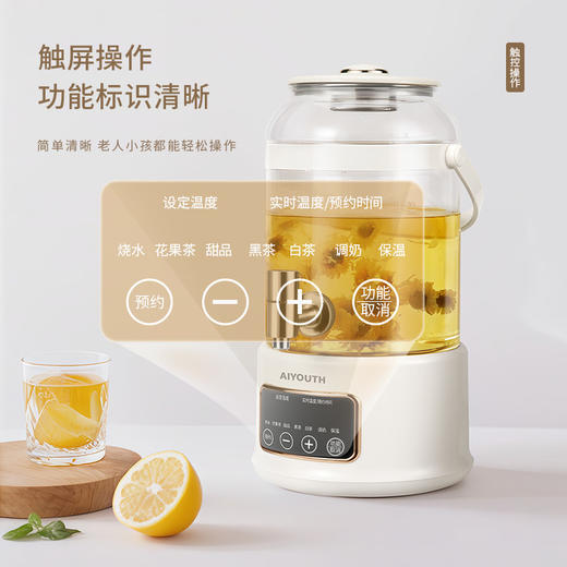 艾青春 3升大容量养生壶  AI-YSH888（带滤网） 商品图5