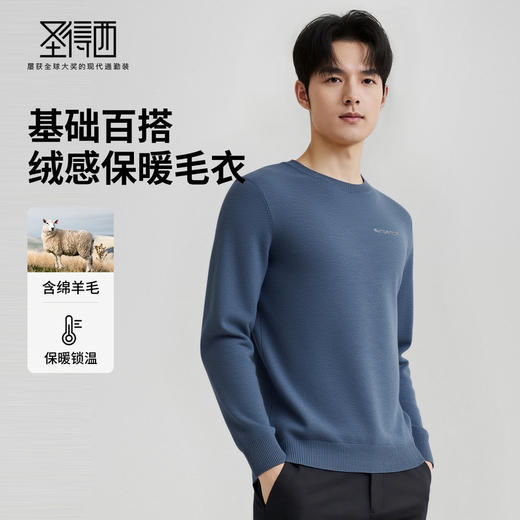 【含羊毛&含莱赛尔】圣得西男款圆领套头针织毛衫2025年秋季新款 商品图1