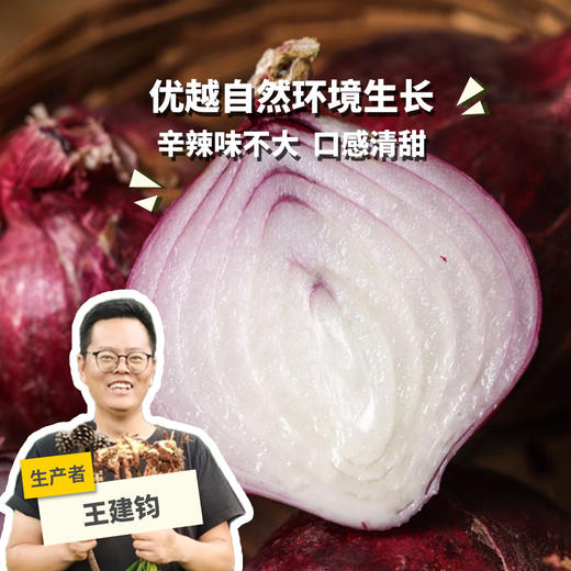 生态云南洋葱 | 合作生产* Eco-onion | Partner Production 商品图0