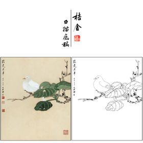谢稚柳花鸟工笔画白描底稿《仿宋徽宗笔意花鸟》临摹勾线高清打印稿XZ11