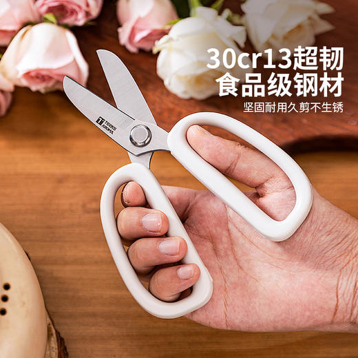 摩登主妇花艺园艺剪刀剪花修枝专用花卉剪鲜花盆栽花店插花用剪子 商品图1