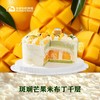 斑斓芒果米布丁千层 商品缩略图2