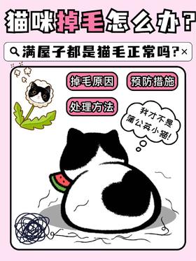 猫咪疯狂掉毛的原因 你知道吗？