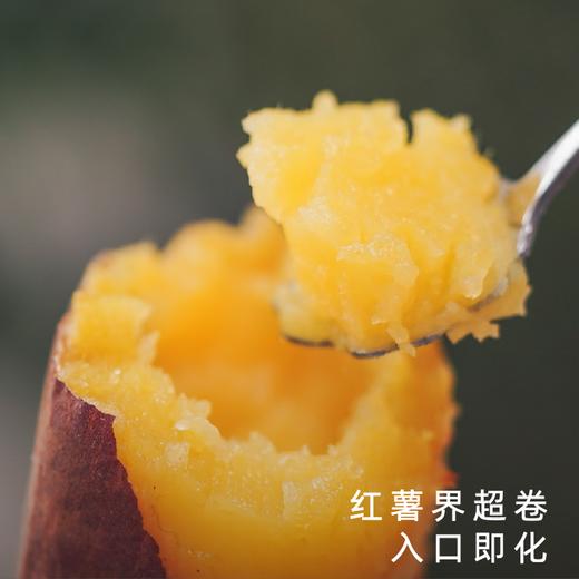 艾格吃饱了2026年吉田鎏金红薯烤地瓜番薯4斤装 商品图2