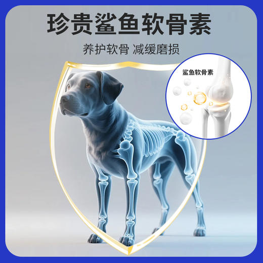 玲宠犬猫鲨鱼软骨素宠物健骨补钙关节折耳猫泰迪金毛老年犬营养 商品图2