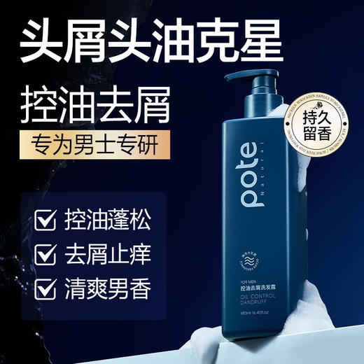 柏缇（POTE）男士控油去屑洗发露485ml 商品图0