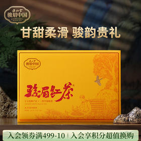 正山堂 骏眉红茶礼盒装 正宗十大产区特级骏眉工艺茶叶送礼长辈150g