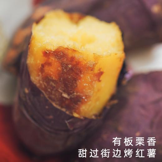 艾格吃饱了2026年吉田鎏金红薯烤地瓜番薯4斤装 商品图0