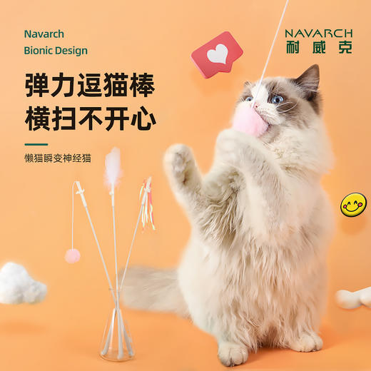 耐威克宠物玩具｜逗猫棒｜猫咪解｜闷耐咬羽毛｜增进感情｜仙女棒｜猫咪自嗨玩具 商品图1