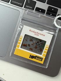 FUFU丨熊猫反转胶片挂件