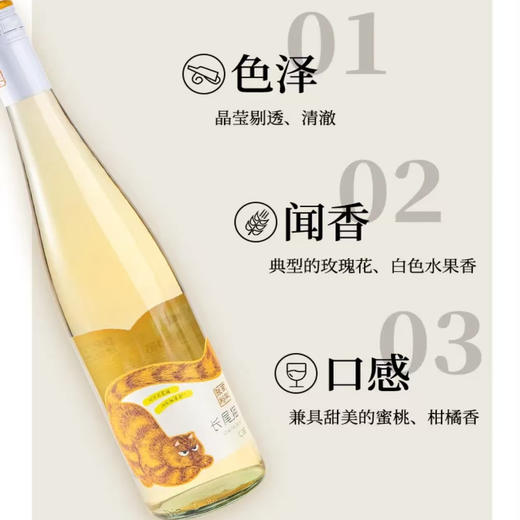 【盖子退十元】张裕长尾猫半甜白葡萄酒 750ml 11.0%vol 商品图3