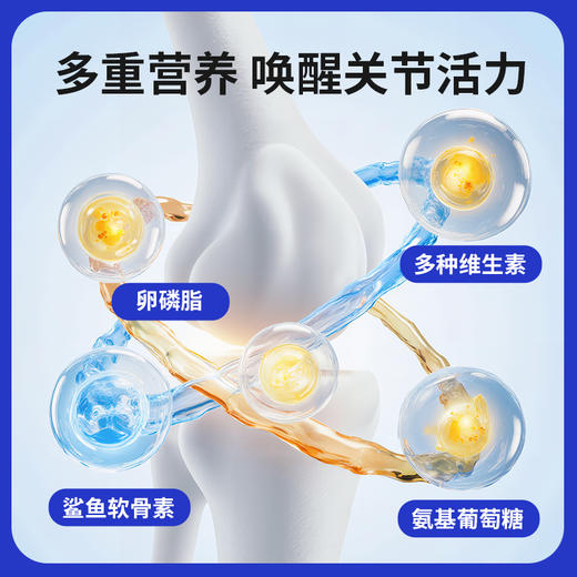 玲宠犬猫鲨鱼软骨素宠物健骨补钙关节折耳猫泰迪金毛老年犬营养 商品图3