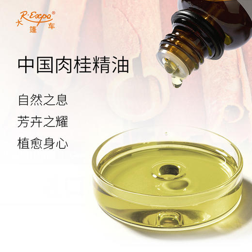 中国肉桂精油 印度单方精油原料批发芳疗护理调香香薰 大篷车精油 商品图1