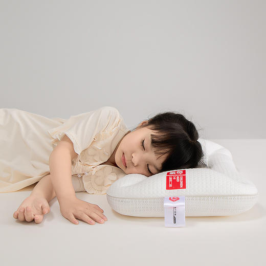 【品牌直发】加倍生活 新款A类LAINSTON分段睡眠枕 超细羽丝填充枕头 宝宝枕 柔软亲肤枕芯  双面舒适 加倍柔软 可水洗 商品图1