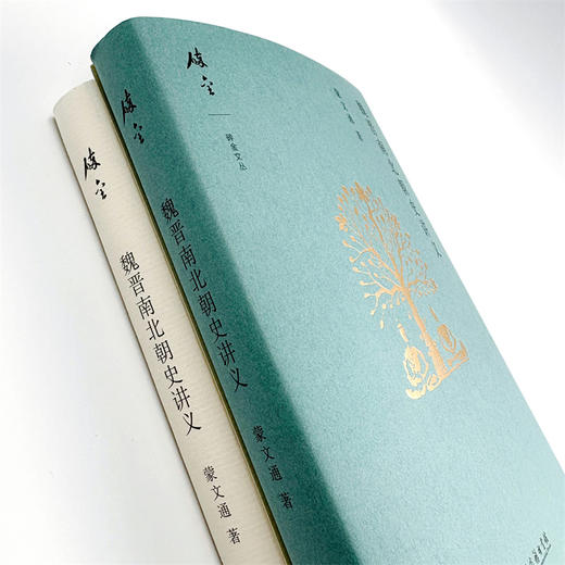 魏晋南北朝史讲义(碎金文丛6) 商品图4