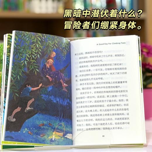 守住大树的秘密 商品图2