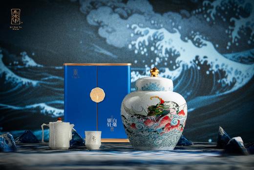 2025年腾蛇白毫银针750g 商品图0