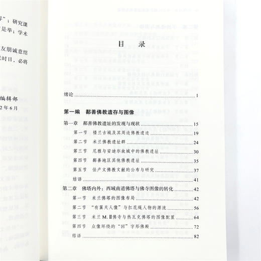 沙海浮图：中古时期西域南道佛典与图像(日新文库) 商品图7