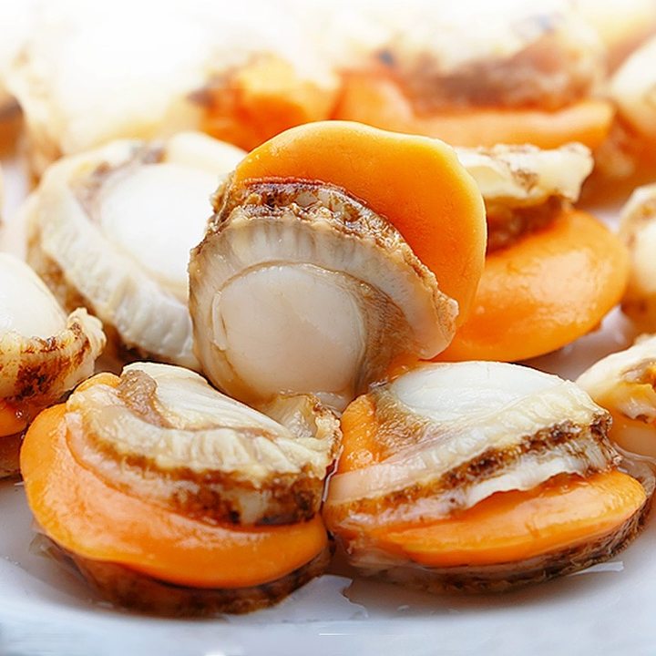 现剥熟冻扇贝肉锁鲜饱满