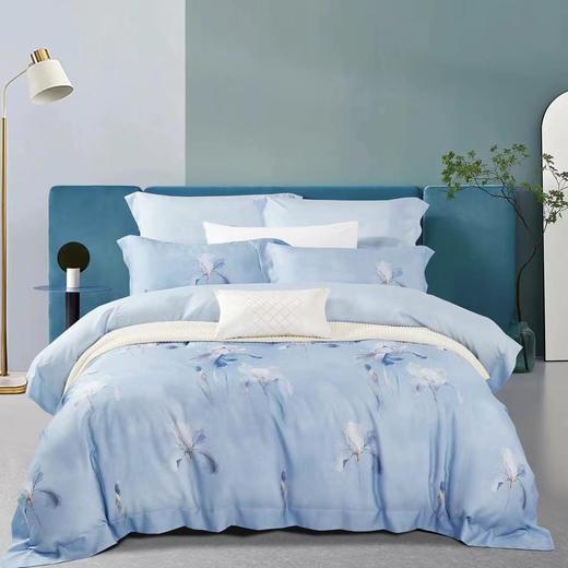 【春上新】10楼恐龙 莱塞尔天丝四件套   吊牌价2280元   活动价459元 商品图2