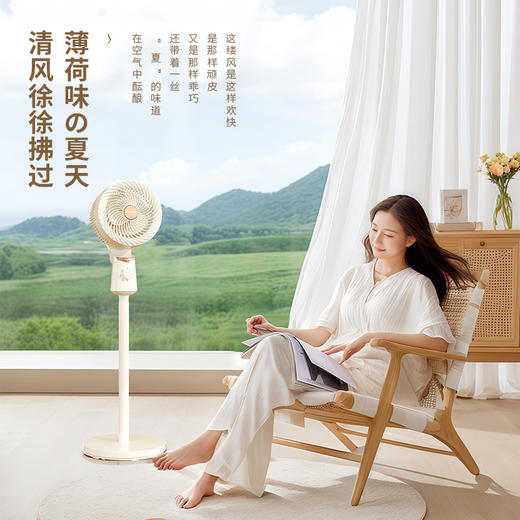 艾青春 落地空气循环扇AI-FS2103 商品图1