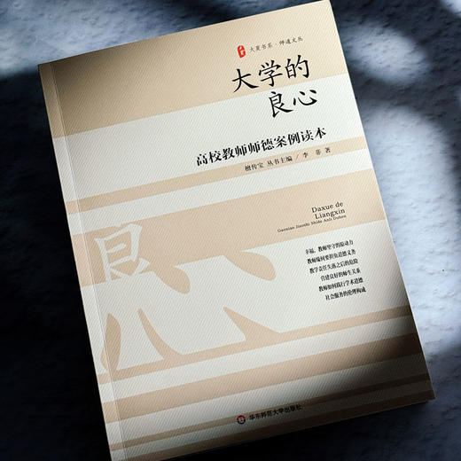 大学的良心 高校教师师德案例读本 大夏书系 师道文丛 高等学校师德案例研究 教师教育理论 商品图4
