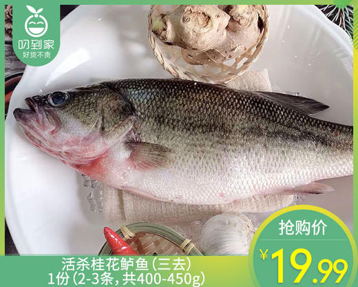 活杀桂花鲈鱼（三去）/1份（2-3条，共400-450g） 商品图0