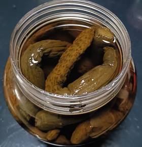 【小青瓜 桶装】 1kg/桶