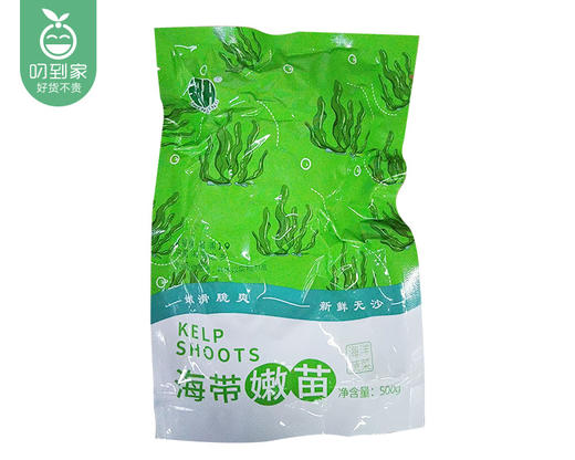 【预售-2月9日配送】霞浦海带嫩苗/1份（500g*3包）生产日期：25年10月 商品图3