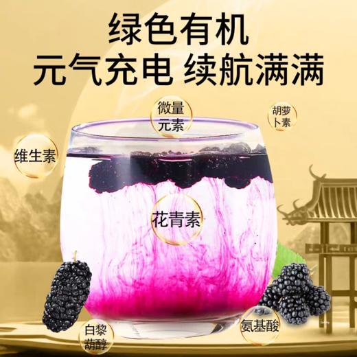 攀枝花有机大桑椹49.9到手2罐硕果田间有机桑椹干特级出口品质只摘取头部𝟑𝟎%‍的桑葚比普通的个头更大满满花青素基地直邮 商品图6