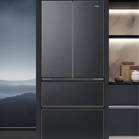 海尔（Haier）冰箱 BCD-500WGHFDB5X8U1