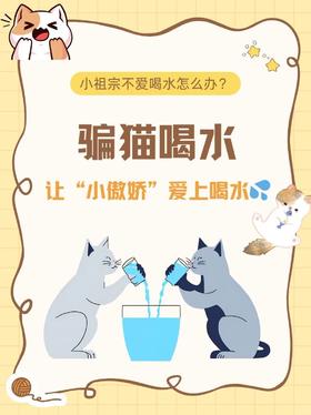 骗猫喝水小妙招！！！