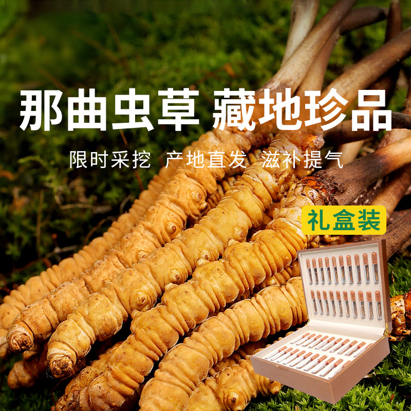  【西藏原产地直发 那曲虫草】高端滋补礼盒，一年只挖20天，能量满满每一天！
