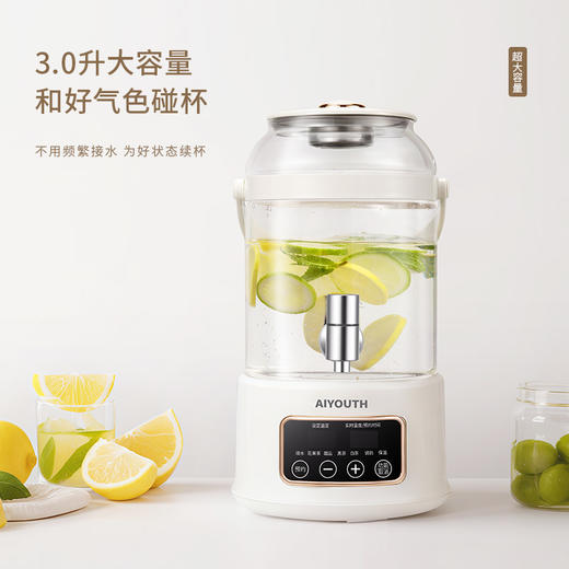 艾青春 3升大容量养生壶  AI-YSH888（带滤网） 商品图1