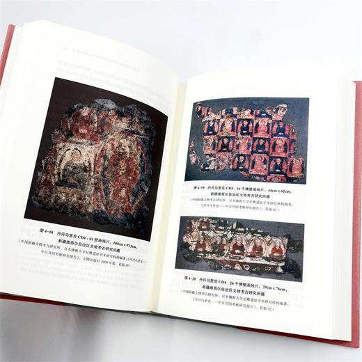 沙海浮图：中古时期西域南道佛典与图像(日新文库) 商品图8