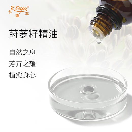 莳萝籽精油 奥地利单方精油原料批发 芳疗香氛调香香薰 大篷车精油 商品图1