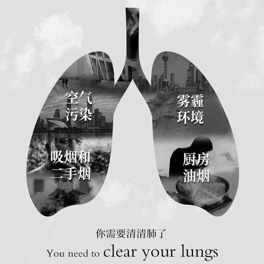 丁教授清昁饮清润养净植物饮滇橄榄铁皮石斛葛根陈皮婆婆丁3g*30袋/盒 商品图4