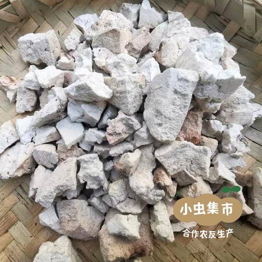 深山云茯苓 250g/罐 (非种植）| 合作农友生产，产自云南永仁，生产者：康丽 ＆【公平贸易农人定价】 商品图5