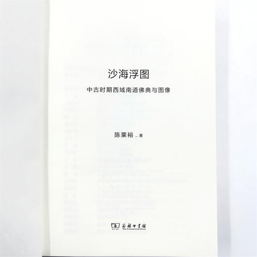 沙海浮图：中古时期西域南道佛典与图像(日新文库) 商品图6