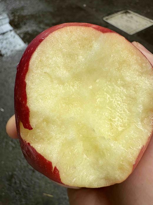 ＃新西兰Dazzle伯爵苹果＃拥有爱妃的灵魂，却只需付出一半的价格。非常好吃的存在，从皮到核脆甜多汁。 商品图3