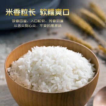 万年贡 蟹田丝苗米  鄱阳湖产区 蟹稻共生 丝苗米大米  10斤 当季新米 /粮油调味 /米 /丝苗米 商品图1