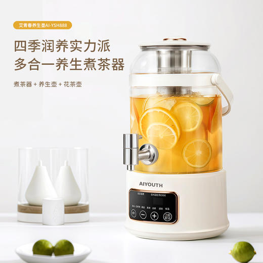 艾青春 3升大容量养生壶  AI-YSH888（带滤网） 商品图0