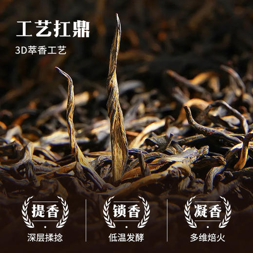 八马茶业 | 鼎红1000 金骏眉正山小种单罐48g 商品图7