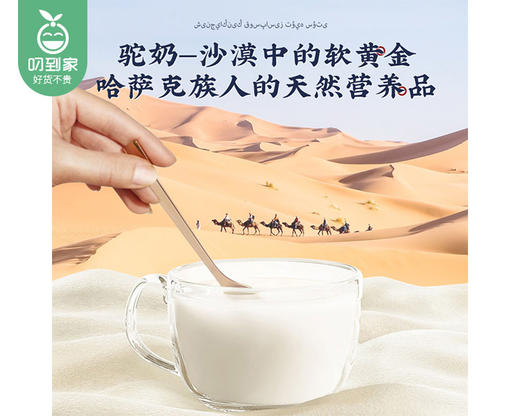 【叼健康】臻牧驼世家益生菌配方骆驼乳粉/1罐（25g*16条）生产日期：25年7月 商品图1